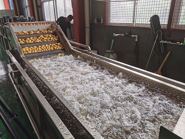 凈菜果蔬清洗機(jī) (3).jpg